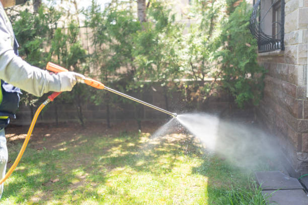 Best Flea Control Services  in St Marys, WV