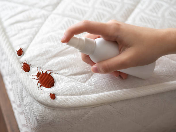 Best Pest Prevention Services  in St Marys, WV