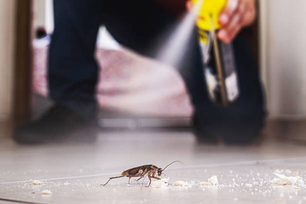 Best Wildlife Control Services  in St Marys, WV